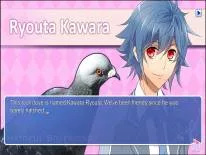 Erfolge und Trophäen für Hatoful Boyfriend
