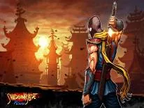 Erfolge und Trophäen für Shadow Blade: Reload