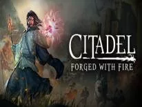 Cheats für Citadel: Forged With Fire auf PC