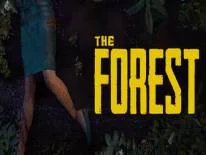 Erfolge und Trophäen für The Forest