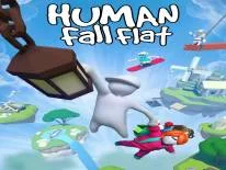 Erfolge und Trophäen für Human: Fall Flat
