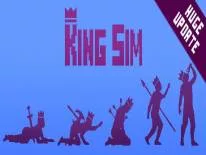 Erfolge und Trophäen für KingSim