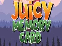 Erfolge und Trophäen für Juicy Memory Card