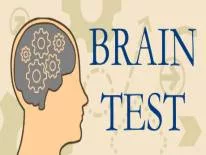 Cheats für Brain Test auf PC