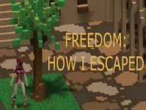 Cheats für Freedom: How I Escaped auf PC