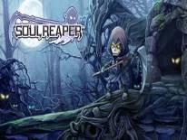Erfolge und Trophäen für Soul Reaper