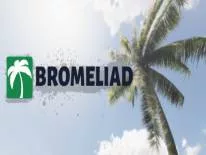Cheats für Bromeliad auf PC