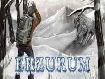 Cheats für Erzurum auf PC