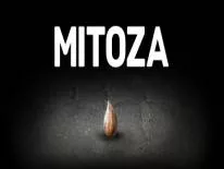 Erfolge und Trophäen für Mitoza