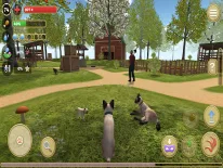 Cheats für Cat Simulator 2020 auf Android e iPhone