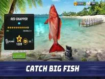 Cheats für Fishing Clash auf Android e iPhone