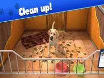Cheats für Pet World - Rifugio e cura degli animali auf Android e iPhone
