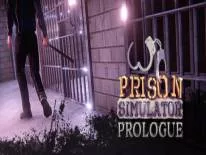 Erfolge und Trophäen für Prison Simulator: Prologue