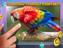 Cheats für Puzzle definitivi auf Android e iPhone