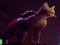 Erfolge und Trophäen für Stray