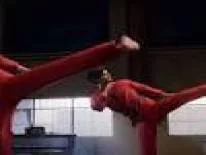 Cheats für Cobra Kai 2: Dojos Rising auf PC, PS4, PS5, Switch, Xbox One e XSX