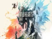 Erfolge und Trophäen für Wild Hearts