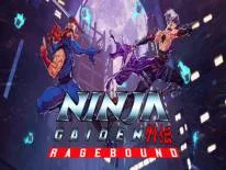 Cheats für Ninja Gaiden: Ragebound auf PC